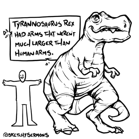 When I don’t know who or what to draw I generally start… (image 9)